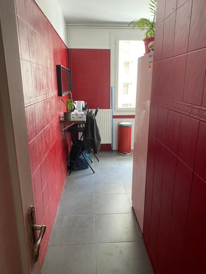 Chambre Meublee Verte Boulevard Joseph Vallier Apartment Grenoble Ngoại thất bức ảnh